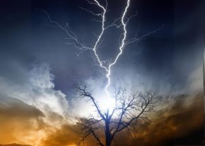Why is a tree hit by lightning