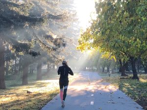 868 MHz radio monitoring lightning rod Contact@ir Rout@ir - LPS France