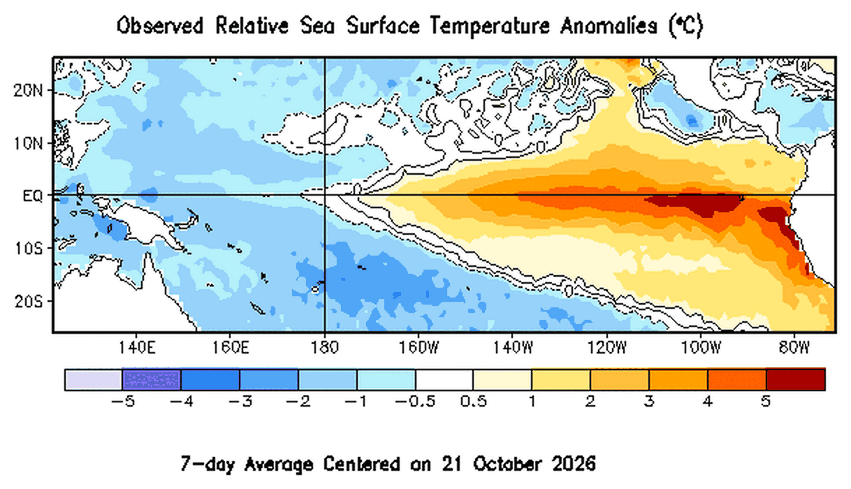 Carte NOAA des anomalies de température de surface de la mer dans le Pacifique tropical au 21 octobre 2026, montrant El Niño